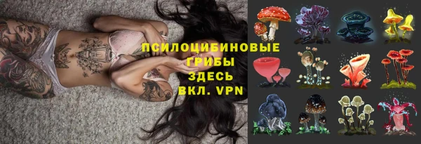 прущие грибы Тавда