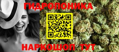 мяу мяу кристалл Ачхой-Мартан