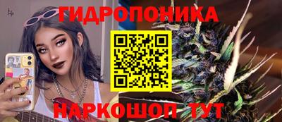 скорость Аша