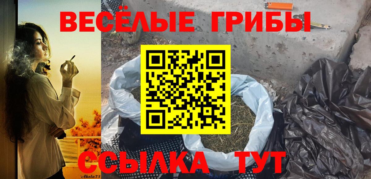 Галлюциногенные грибы Psilocybine cubensis Салават